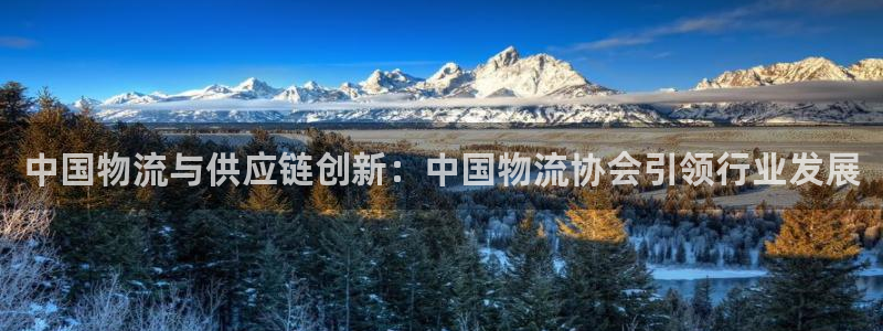 28圈预测加拿大师准：中国物流与供应