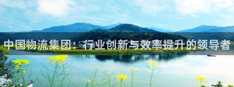 28圈加拿大能提现吗:中国物流集团: