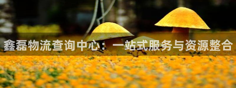 麻将128圈：鑫磊物流查询中心：一站