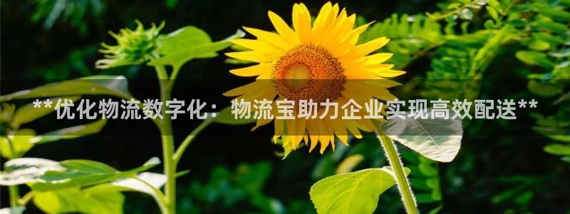 28圈官网版所有版本：**优化物流数