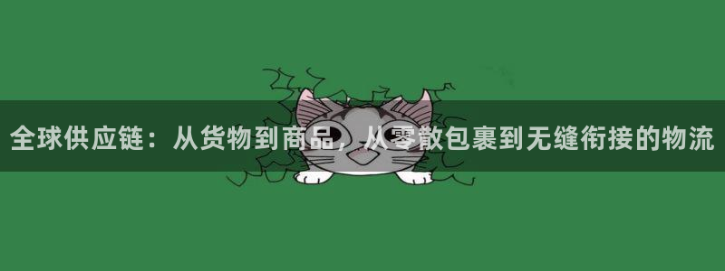 28圈加拿大技巧:全球供应链:从货物