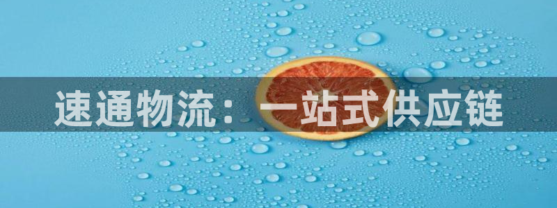 28圈的自行车：速通物流：一站式供应