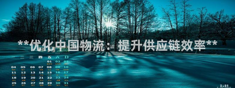 28圈怎么注册游戏名字：**优化中国
