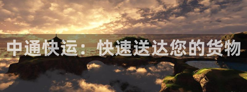 28圈官方官网版：中通快运：快速送达