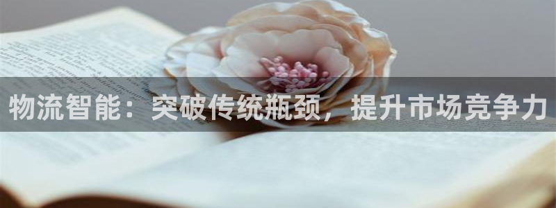 28圈黑吗：物流智能：突破传统瓶颈，