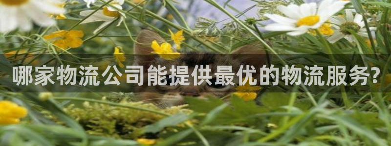 28圈登录网：哪家物流公司能提供最优