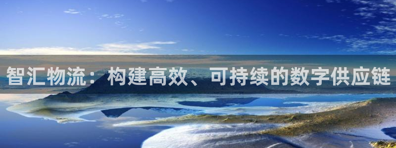 28圈登录不上咋回事：智汇物流：构建高效、可持续的数字供应链