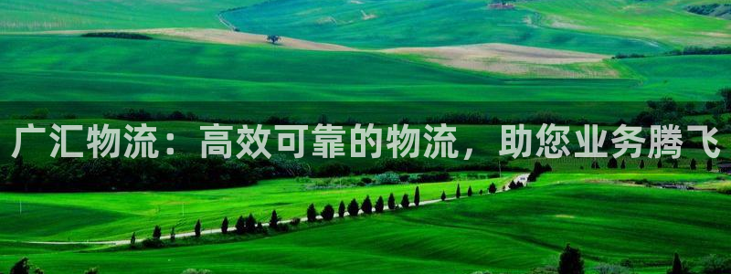 28圈登陆网:广汇物流:高效可靠的物