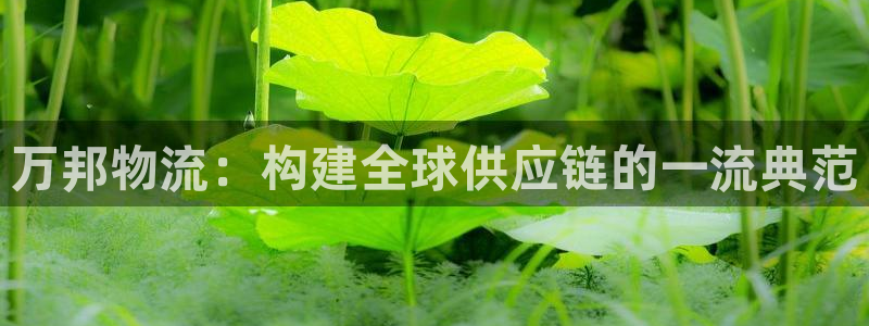 28圈连接：万邦物流：构建全球供应链