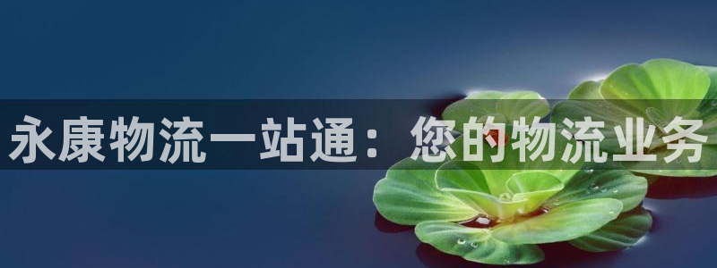 28圈最稳打法：永康物流一站通：您的