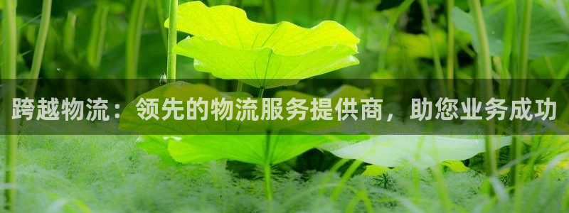 28圈pc预测：跨越物流：领先的物流