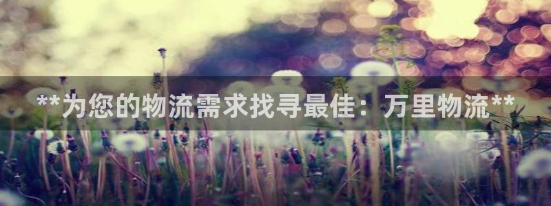 28圈注册网站链接：**为您的物流需