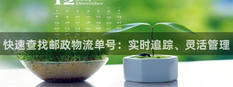 28圈注册用户名是什么：快速查找邮政