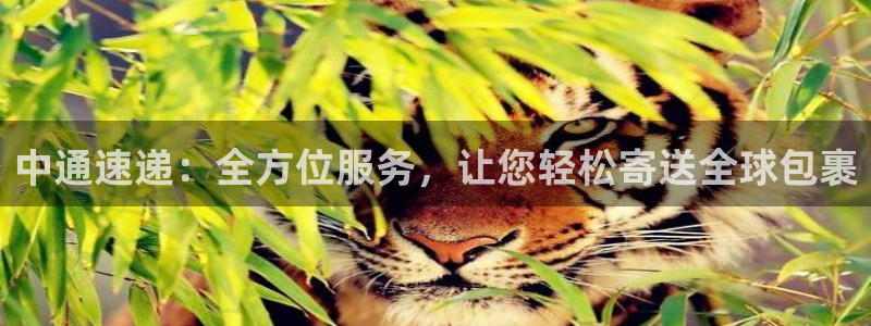 28圈软件：中通速递：全方位服务，让