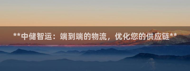 28圈p图上分下款通道：**中储智运