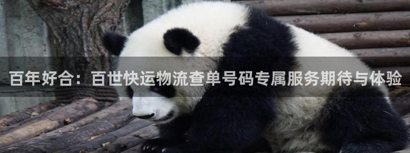 28圈口：百年好合：百世快运物流查单