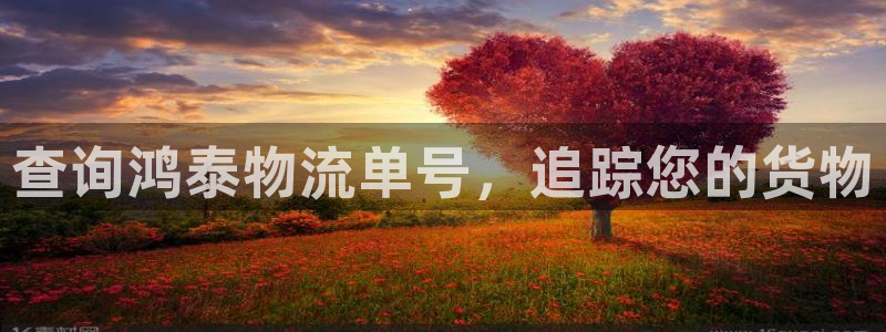 28圈加拿大能提现吗：查询鸿泰物流单