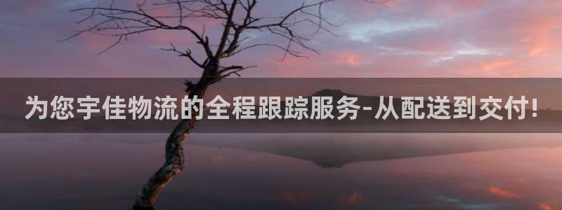 28圈注册网页：为您宇佳物流的全程跟