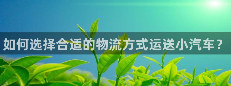 28圈分分28预测：如何选择合适的物