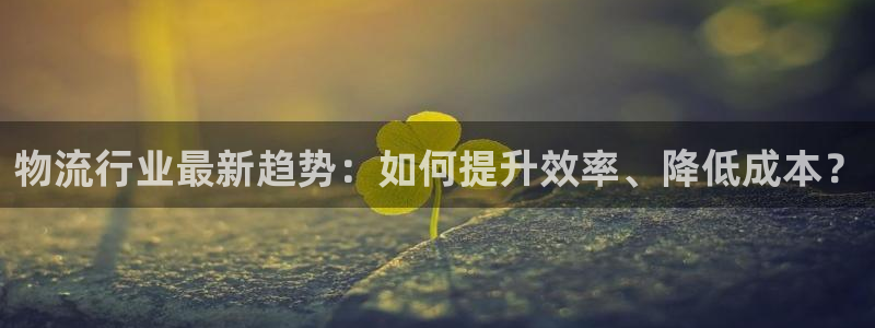 28圈口戒指是多大：物流行业最新趋势