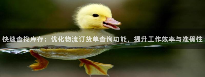 28圈app注册地址：快速查找库存：