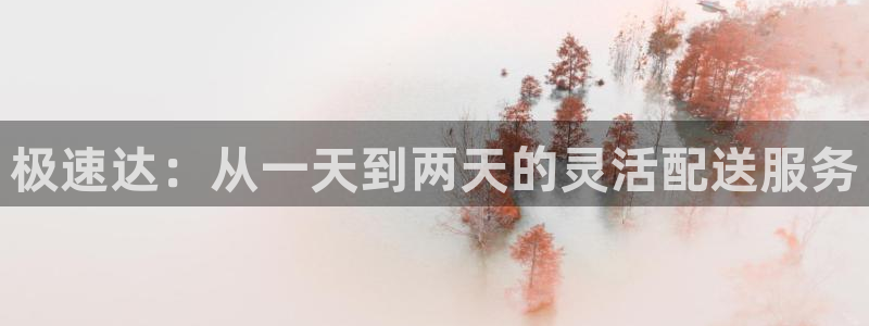 28圈选28ng官网：极速达：从一天