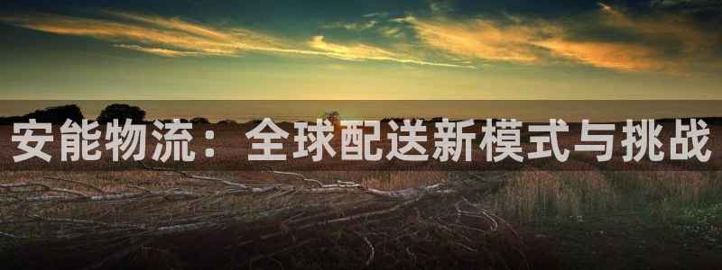 28圈官网平台：安能物流：全球配送新