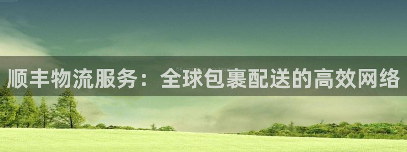 28圈注册网站加拿大:顺丰物流服务: