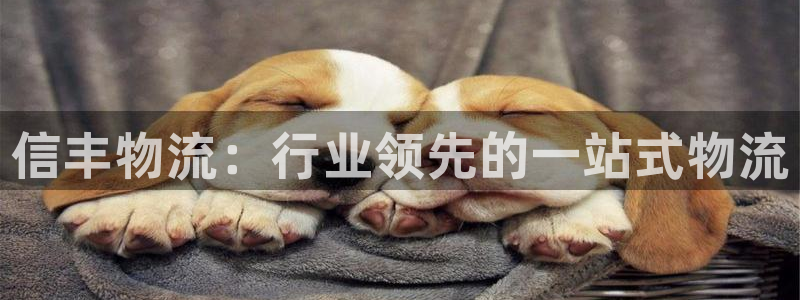 28圈分分28输了能不能退:信丰物流