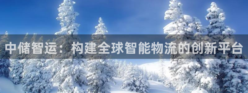 28圈体育下载：中储智运：构建全球智