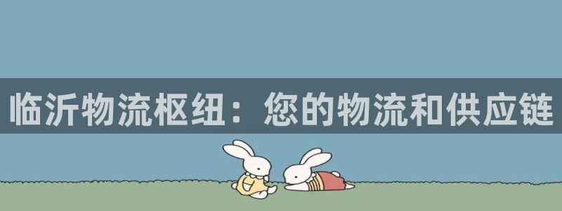 28圈官方网站是多少：临沂物流枢纽：