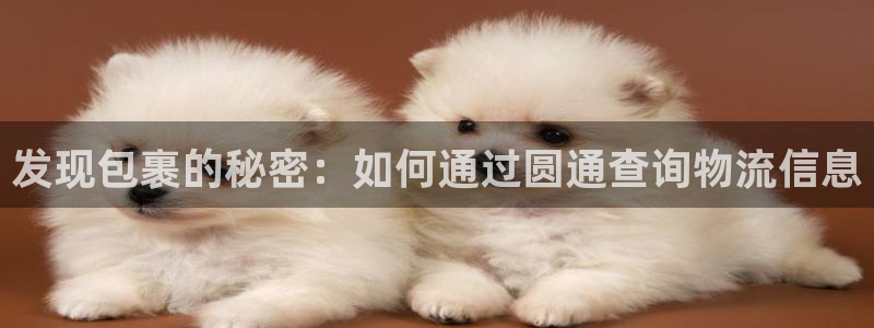 28圈登录用户名登录不上：发现包裹的