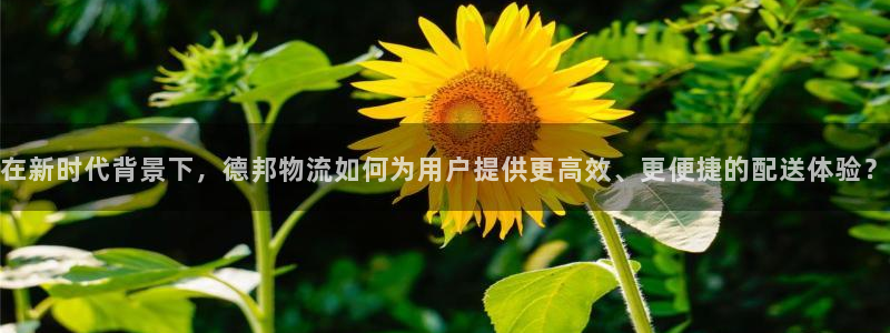 28圈系统自动保护：在新时代背景下，