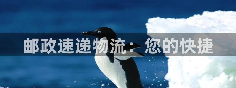 28圈注册送：邮政速递物流：您的快捷