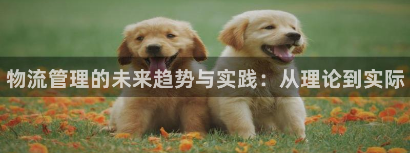 28圈大神预测:物流管理的未来趋势与