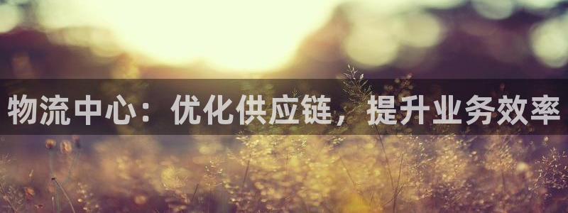 28圈加拿大是什么：物流中心：优化供