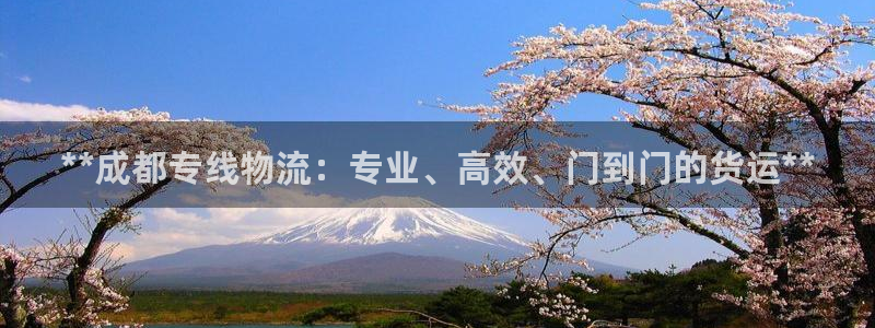 28圈加拿大：**成都专线物流：专业