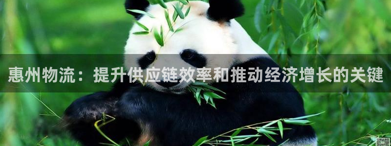 28圈电子游戏：惠州物流：提升供应链