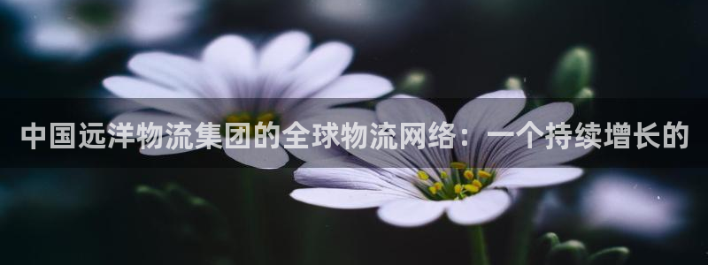 28圈加拿大是什么意思：中国远洋物流