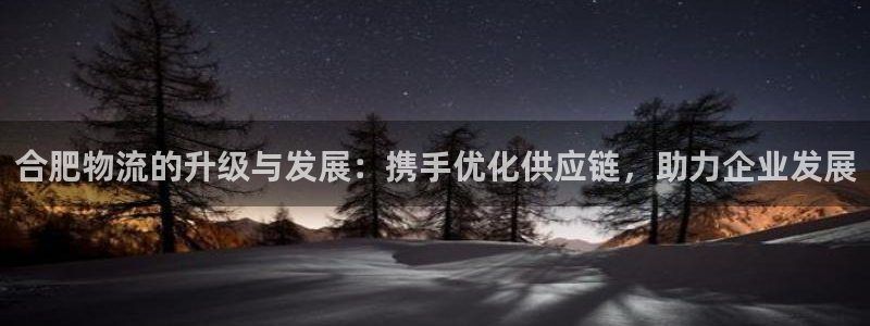 28圈注册问一问:合肥物流的升级与发