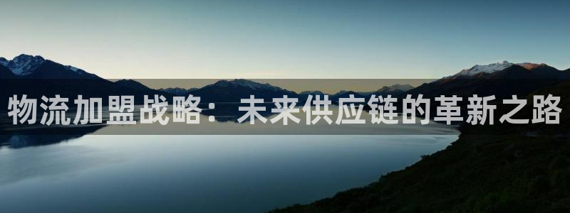 28圈推广链接是多少:物流加盟战略: