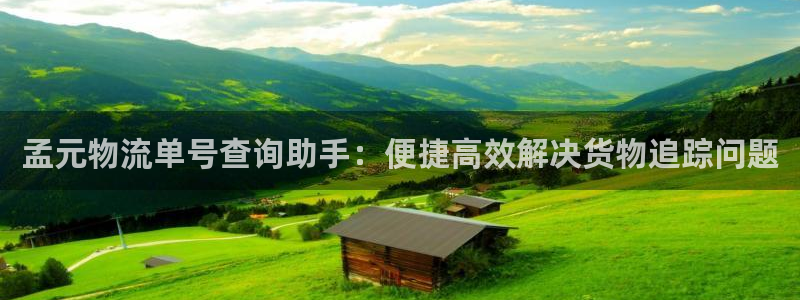 28圈登陆网:孟元物流单号查询助手: