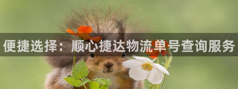 28圈注册网站多少:便捷选择:顺心捷