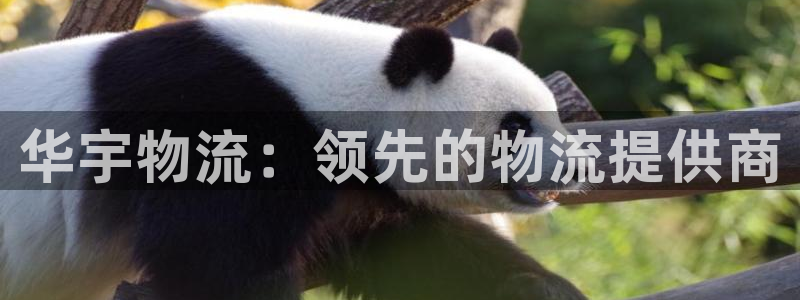 28圈如何注销账号：华宇物流：领先的