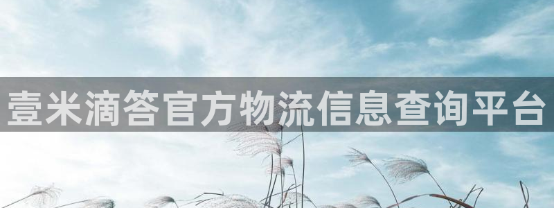 28圈大神预测:壹米滴答官方物流信息
