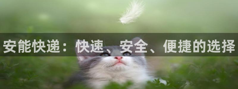 28圈如何看计划:安能快递:快速、安