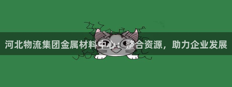 加拿大28圈是什么:河北物流集团金属