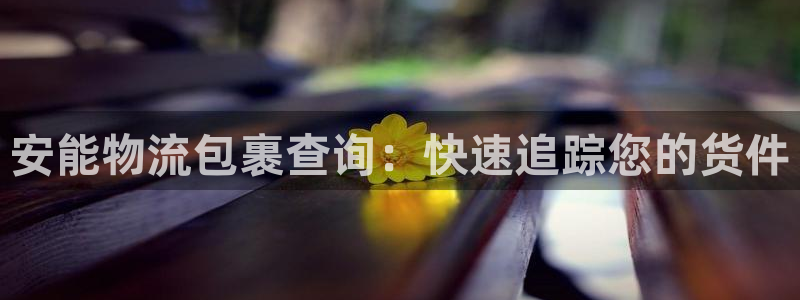 28圈注册过了警察知道吗：安能物流包