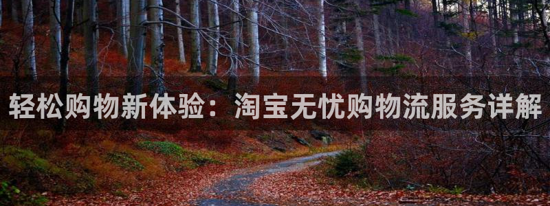 28圈比特28预测在线预测:轻松购物
