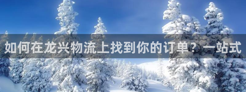 28圈加拿大最新版：如何在龙兴物流上